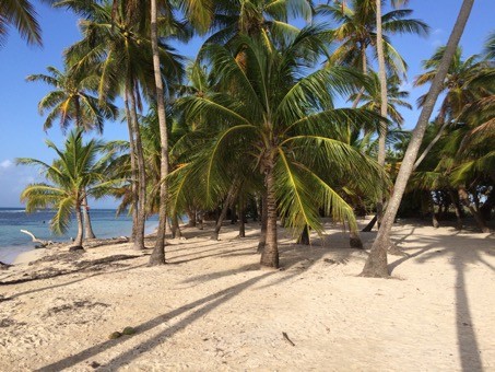 vacance sainte anne guadeloupe