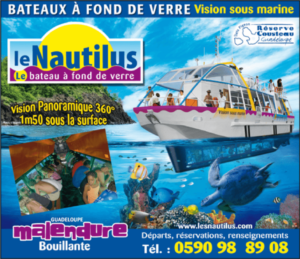 Explorez les fonds sous-marins de la « Réserve Cousteau » à Bouillante ( Guadeloupe) 22 lebleulagon.com.au la reserve cousteau vacance guadeloupe (1)