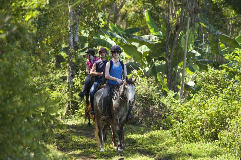 SPORT EQUESTRE ET QUAD EN GUADELOUPE